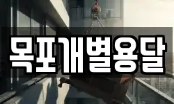 목포개별용달
