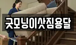 굿모닝이삿짐용달