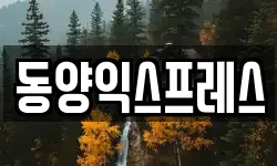 전라남도 무안군 삼향읍 이사,용달이사,포장이사,원룸이사,보관이사