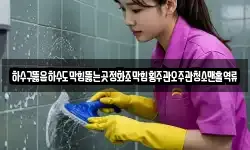 하수구뚫음하수도막힘뚫는곳정화조막힘횡주관오주관청소맨홀역류