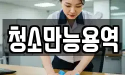 청소만능용역