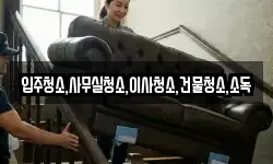 전라남도 무안군 해제면 이사,용달이사,포장이사,원룸이사,보관이사