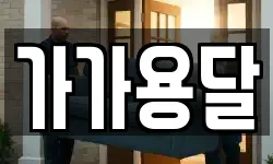 가가용달