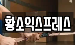 황소익스프레스