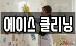 에이스 클리닝