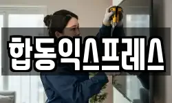 합동익스프레스