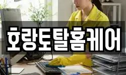 호랑토탈홈케어