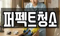 퍼펙트청소