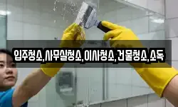 입주청소,사무실청소,이사청소,건물청소,소독