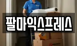 팔마익스프레스