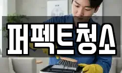 퍼펙트청소