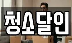청소달인