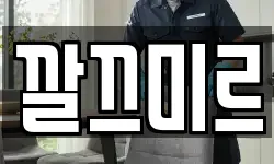 깔끄미르