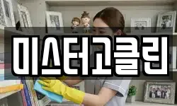 미스터고클린
