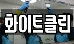 화이트클린
