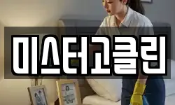 미스터고클린