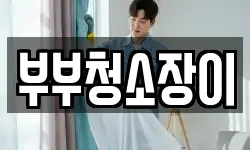 부부청소장이
