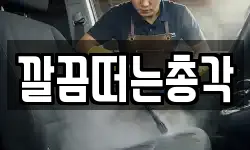 깔끔떠는총각