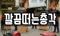 깔끔떠는총각