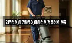입주청소,사무실청소,이사청소,건물청소,소독