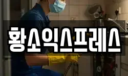 황소익스프레스