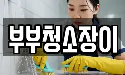 부부청소장이