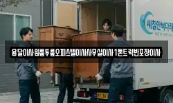 용달이사원룸투룸오피스텔이사사무실이사1톤트럭반포장이사