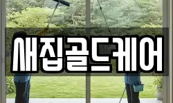 새집골드케어