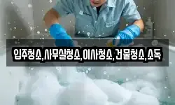 입주청소,사무실청소,이사청소,건물청소,소독