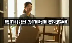 용달이사원룸투룸오피스텔이사사무실이사1톤트럭반포장이사