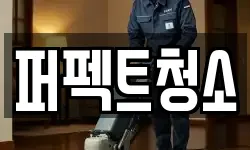 퍼펙트청소