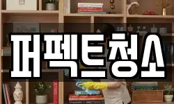 퍼펙트청소