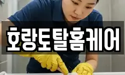 호랑토탈홈케어