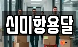 신미항용달