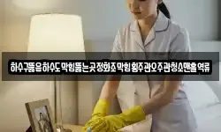 하수구뚫음하수도막힘뚫는곳정화조막힘횡주관오주관청소맨홀역류