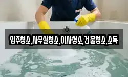 입주청소,사무실청소,이사청소,건물청소,소독