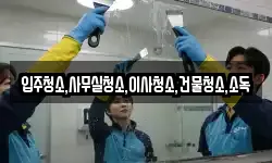 입주청소,사무실청소,이사청소,건물청소,소독