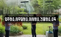 입주청소,사무실청소,이사청소,건물청소,소독