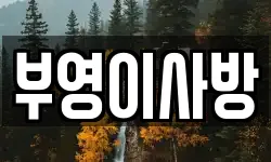 전라남도 여수시 공화동 이사,용달이사,포장이사,원룸이사,보관이사