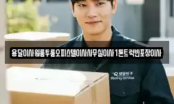 용달이사원룸투룸오피스텔이사사무실이사1톤트럭반포장이사