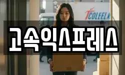 고속익스프레스