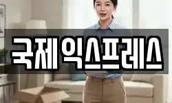국제익스프레스