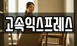 고속익스프레스