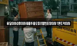 용달이사소형이사원룸투룸오피스텔반포장이사1톤트럭이사