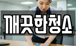 깨끗한청소