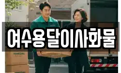 여수용달이사화물