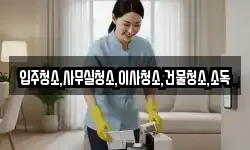입주청소,사무실청소,이사청소,건물청소,소독