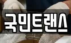 국민트랜스