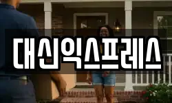 대신익스프레스