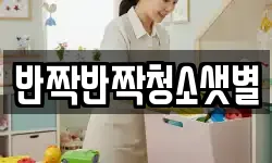 반짝반짝청소샛별